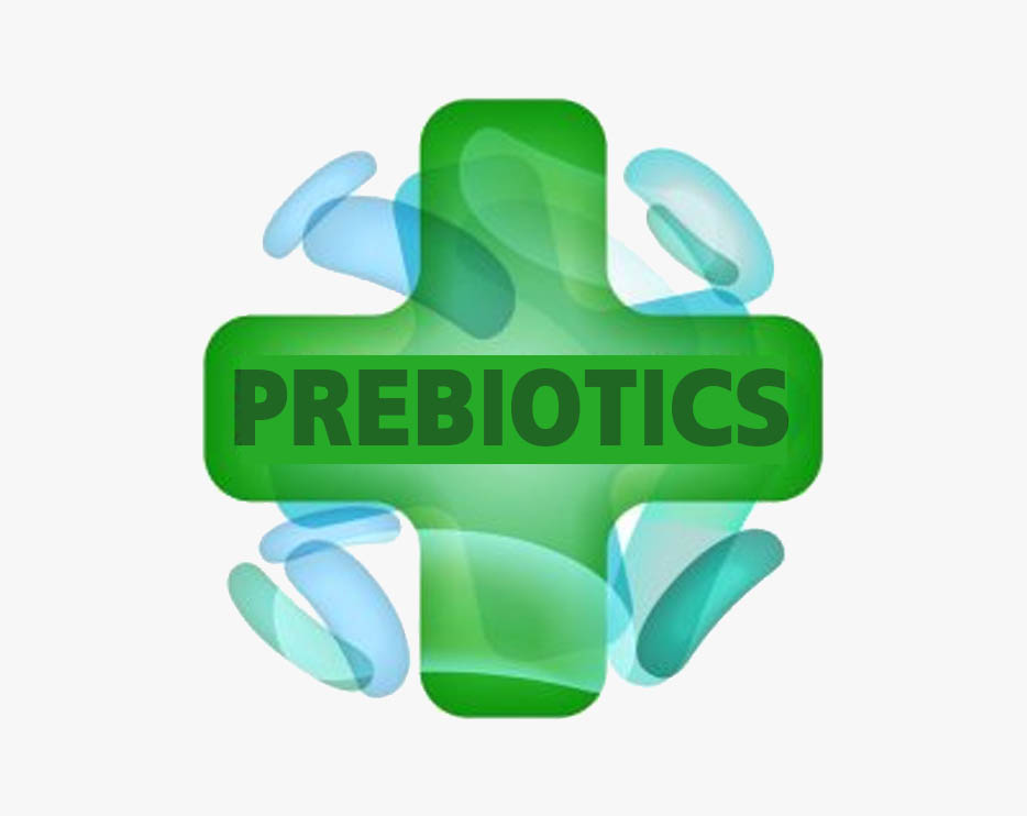 •พรีไบโอติกส์ (PREBIOTICS)•